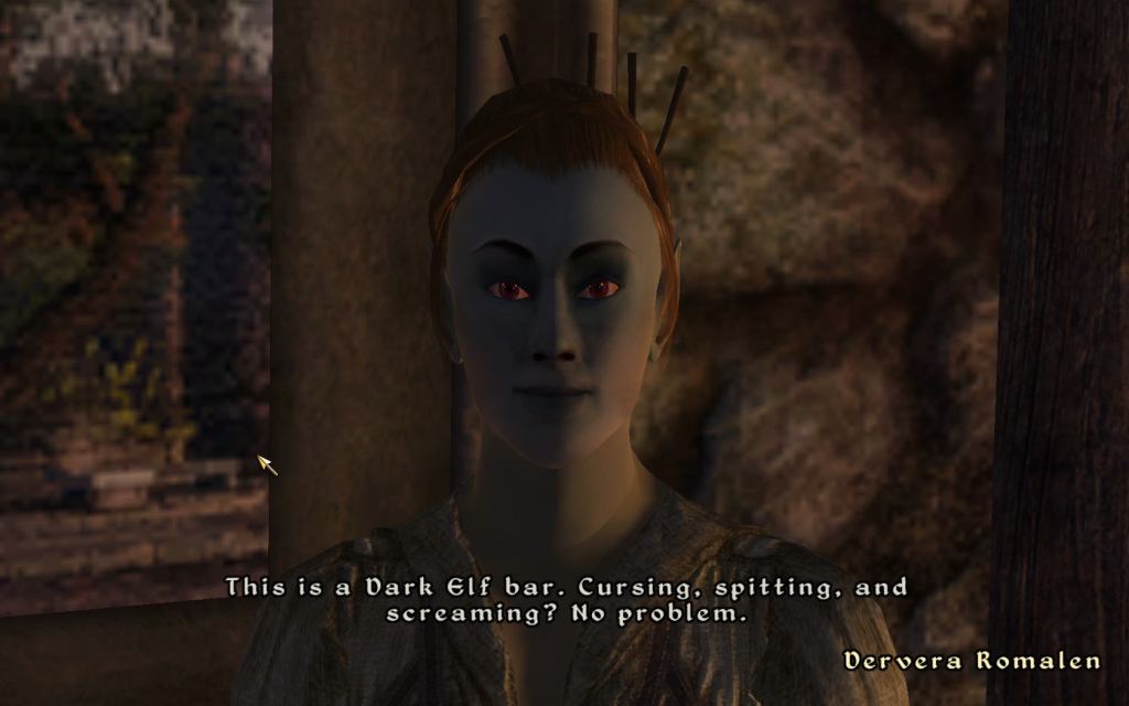 Oblivion NPC - چرا آبلیویون (Oblivion) همچنان بهترین بازی سری طومارهای کهن (The Elder Scrolls) است؟