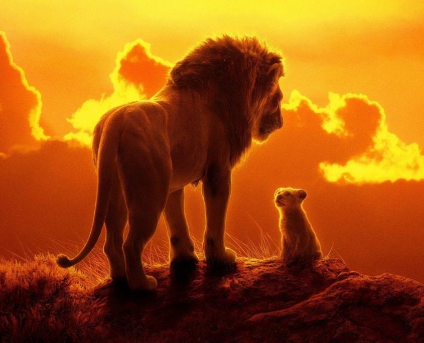 117. wp4396425 the lion king 2019 wallpapers 845x684 - بلاگ